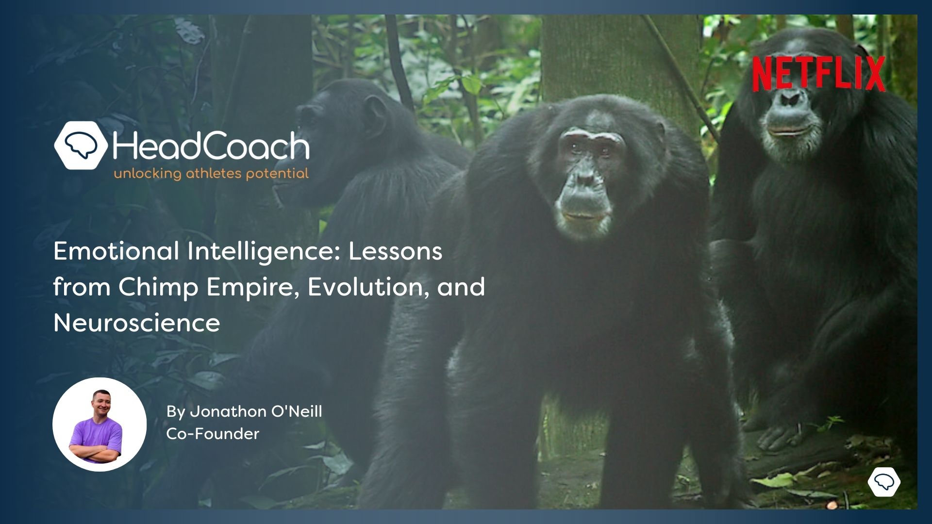 Emotional Intelligence: Lessons from Chimp Empire, Evolution, and Neuroscience